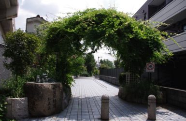 水のない水辺から…　「暗渠」の愉しみ方　第１１回　地下にある知られざる水辺、下水道の味わい