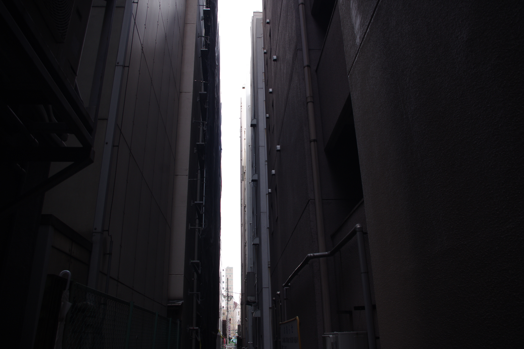 水のない水辺から…「暗渠」の愉しみ方 第6回 「浜町川と龍閑川。ビルの