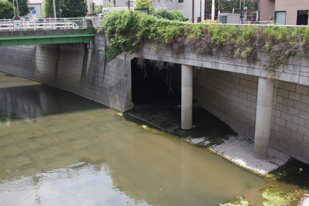 水のない水辺から… 「暗渠」の愉しみ方 第11回 地下にある知られざる水辺、下水道の味わい | ミズベリング